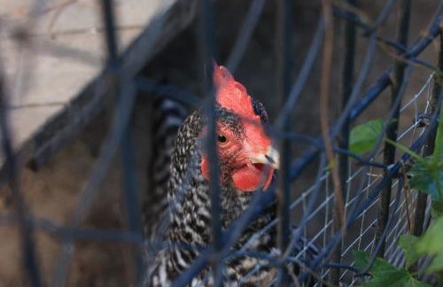 La Casita - Boutique Retreat Barcelona Coast Sea View - Foto 33