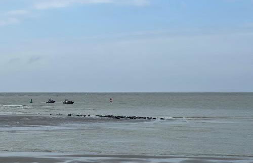 Plage à 50m Appartement Rêves étoilés Villa Les Bains de Mers - Foto 42