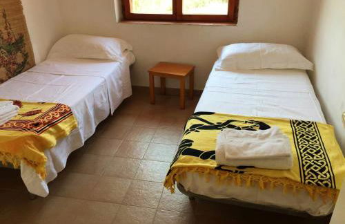 Elegant Villa in Treglio with Private Pool - Foto 10