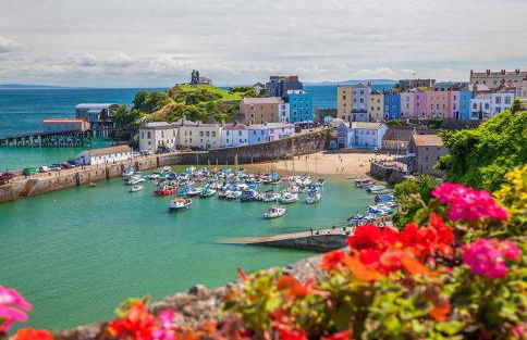 Cherry Blossom - Foto 20