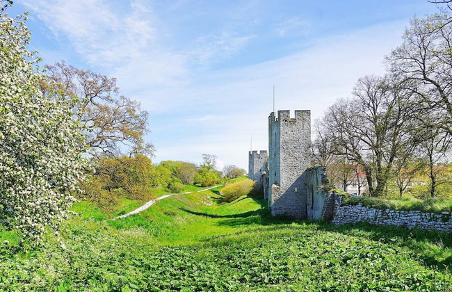 7 Person Holiday Home in Stenkyrka - Photo 23