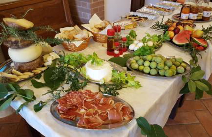 Agriturismo S. Apollinare - Foto 5