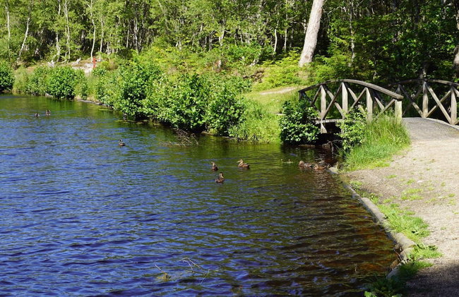 4 Star Holiday Home in Albaek - Foto 30