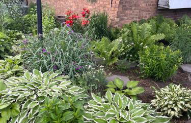 THE LOFT 3 level urban cabin with a HUGE patio! - Foto 59