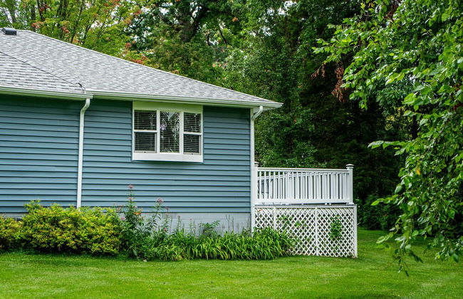 Vida del Lago - Foto 50