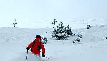 Les bouquetins - Foto 3