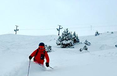 Les bouquetins - Foto 3