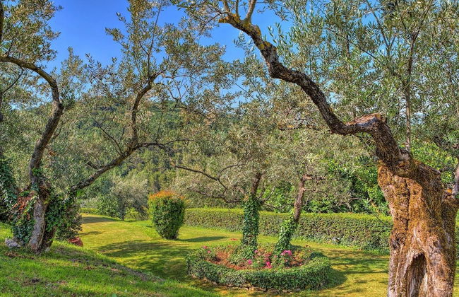 Casa Degli Oleandri 8 - Foto 45