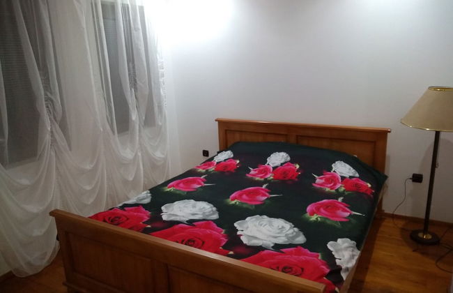 Dream House - Photo 3