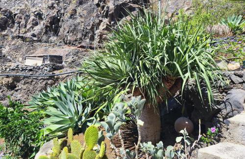 Casa Puerto de la Estaca - Foto 33