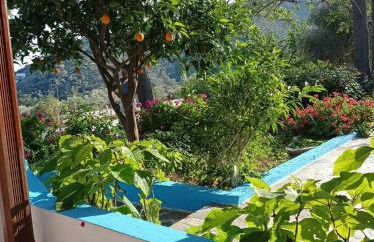 Studios Ioanna Limnionas Samos - Foto 8