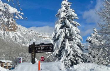 Needles N220 - Foto 31