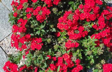 Casa Intignano - Camera con bagno e portico vista lago - Foto 26