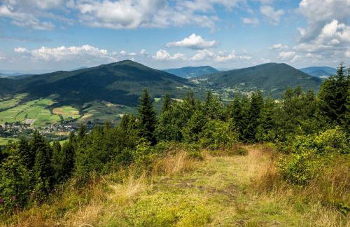 Apartamenty Black Lion - Foto 45