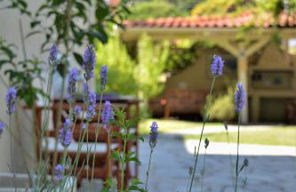 The Archontariki - Photo 8