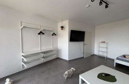 Moderne 3,5 Zimmer 85m2 & Balkon Wohnung - Foto 5