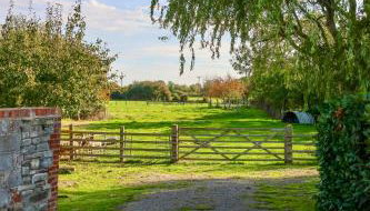 Tranquil and cosy cottage on the Somerset Levels - Foto 3