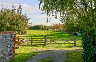 Tranquil and cosy cottage on the Somerset Levels - Photo 3