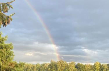 Direkt am See mit privatem Sandstrand - Foto 28