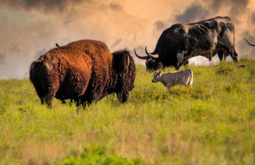 House at the Refuge - Relax & Take in Nature - Foto 55