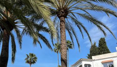 La Brisa Del Paraiso - Sea View Rooftop Terrace - Photo 4, Garden, Garden view