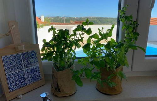 Joia da Casa House with private Pool - Foto 50