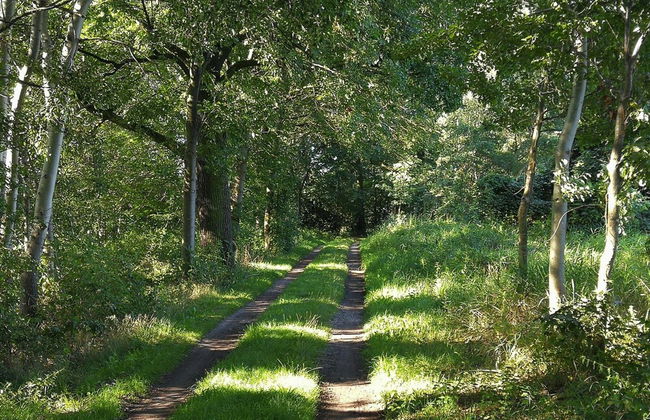 Apartment With Sauna and Fireplace in Bautzen - Foto 21