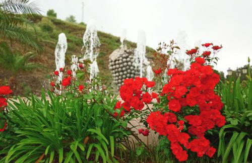 Apartamento buena vista - Foto 39