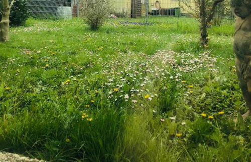 Wohnung Feldmann - Foto 13