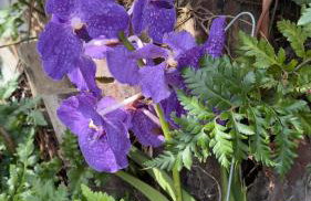 Morada dos Butiás - Photo 35