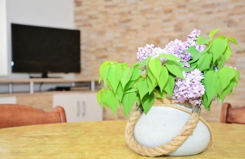 Plavi Val Apartments - Foto 27