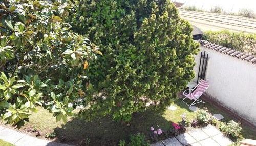 Alimede al Circeo - Foto 5, Garden view