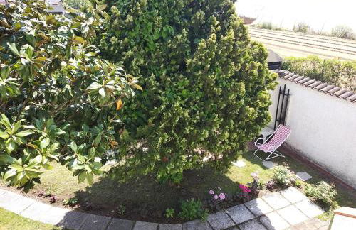 Alimede al Circeo - Foto 5