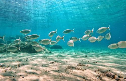 Mare Fuori - Foto 40