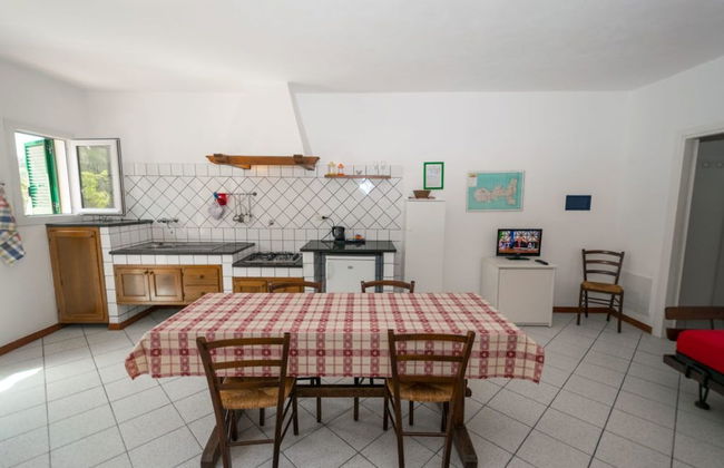 Azienda Agricola Sapereta - Foto 12