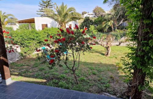 Stromboli Vacanze - Foto 46