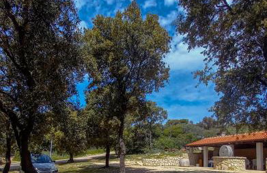 Apartments MULOBEDANJ - Foto 13