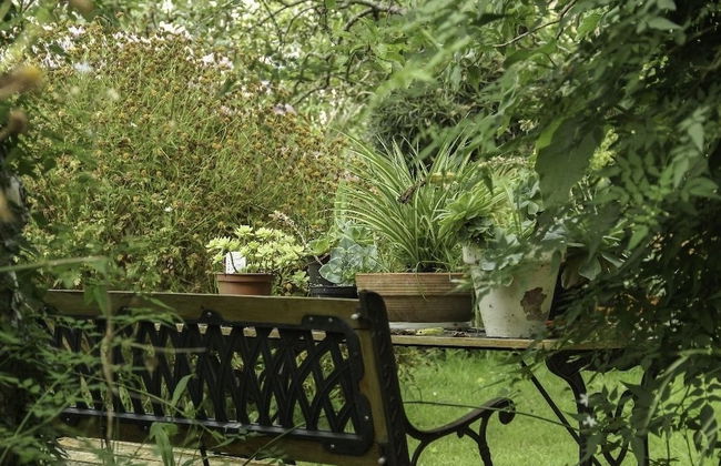 Casa Inés - Foto 29