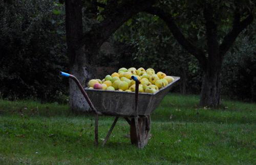 Ostoja nad Gilem - Foto 35