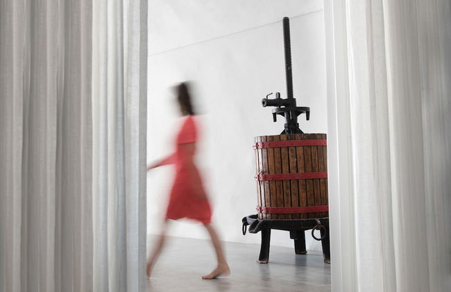 Native Eco Villas - Photo 16