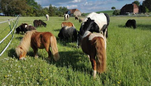 Lavendelmond Ferien - Foto 4
