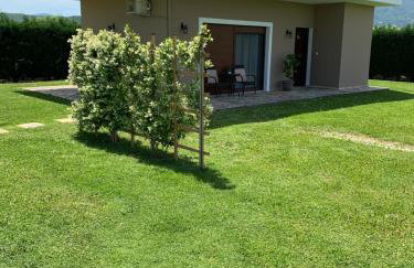 Galini Estate - Foto 4