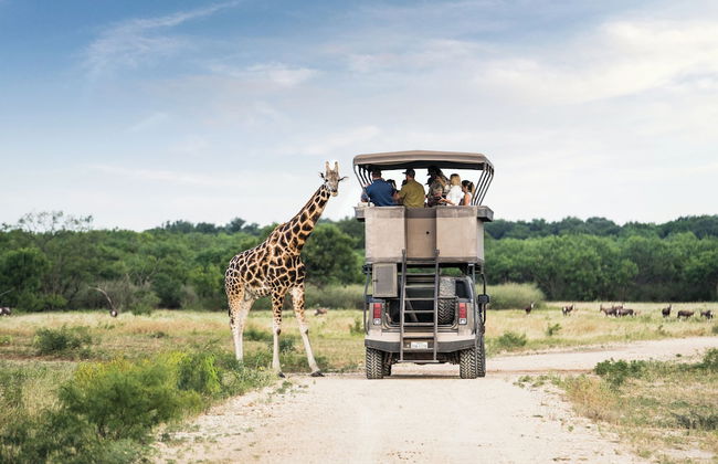 Champion Ranch - Foto 29