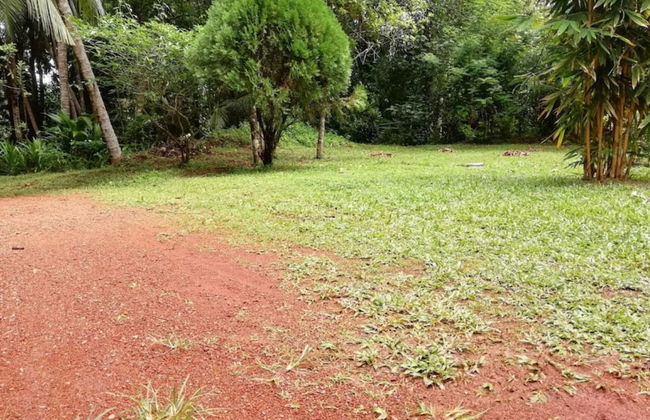 cocos villa hikkaduwa - Photo 15