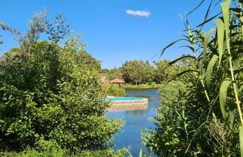 Le Petit Mas de Grimaud - Foto 22