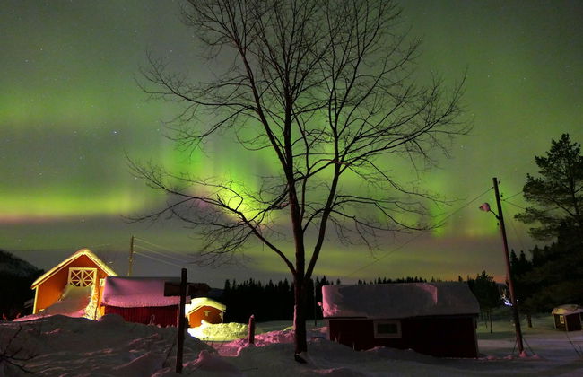 Velfjord camping & hytter - Foto 60