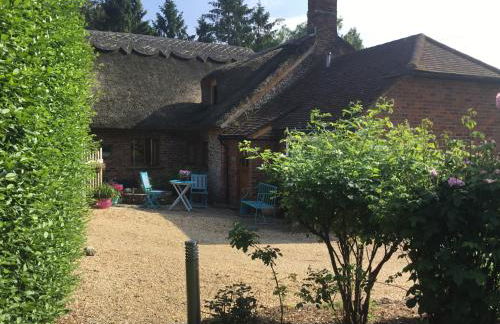 Thatched Cottage - Foto 1