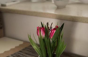 Apartment center Roko - Photo 10