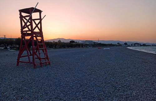 Mansion of 120 m2, with high ceilings and big yard - Foto 29