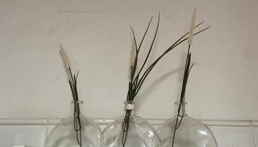 La Cuesta14 - Photo 3